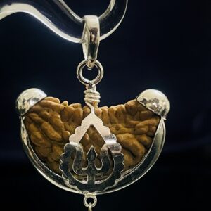 One Mukhi Rudrakhsa