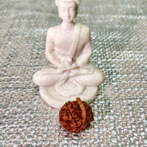 Ganesh Rudrakhsa