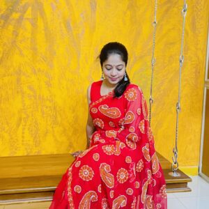Red Chikankari Saree