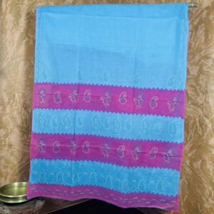 Blue and Pink Saree with Chikankari print