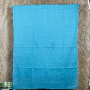 Blue Chikankari Saree